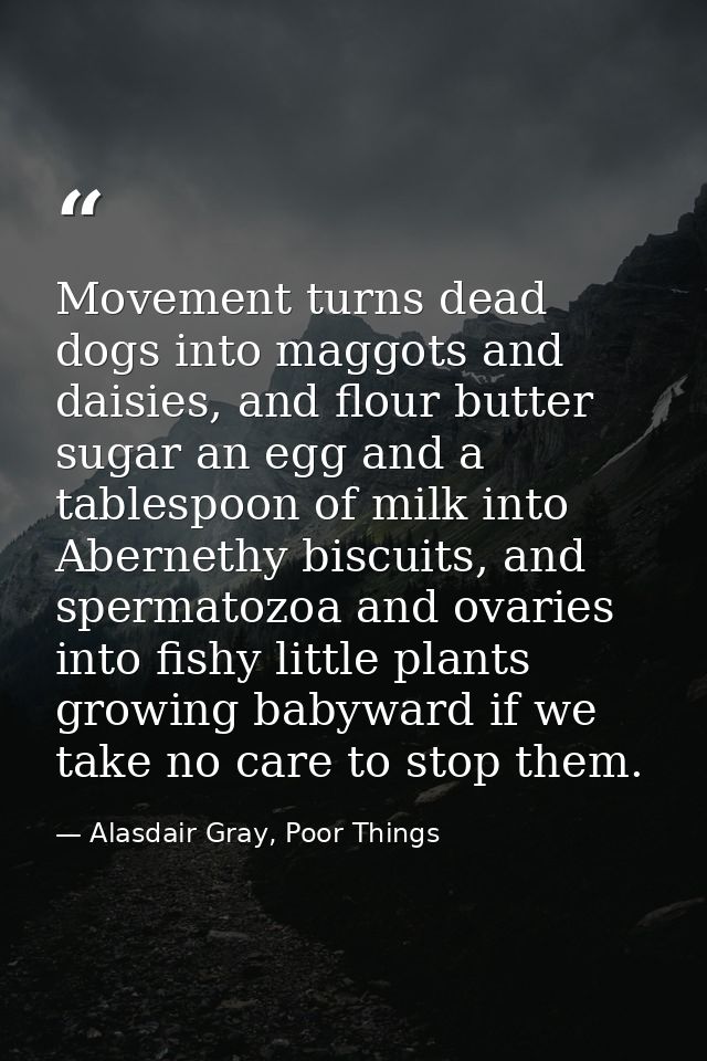 Movement turns dead dogs into maggots and daisies, and flour butter sugar an egg and a tablespoon of milk into Abernethy — Alasdair Gray, Poor Things