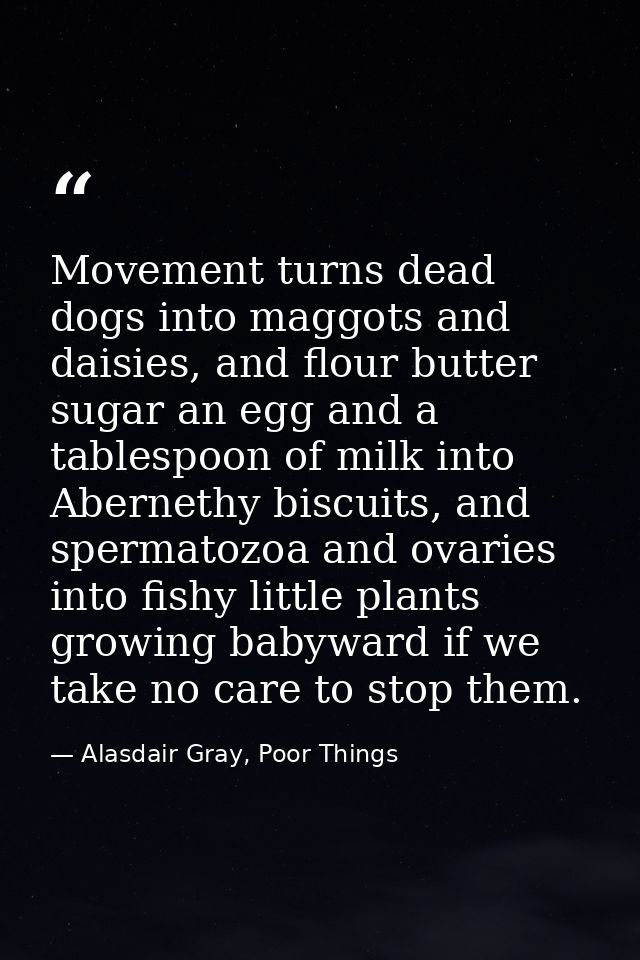 Movement turns dead dogs into maggots and daisies, and flour butter sugar an egg and a tablespoon of milk into Abernethy — Alasdair Gray, Poor Things