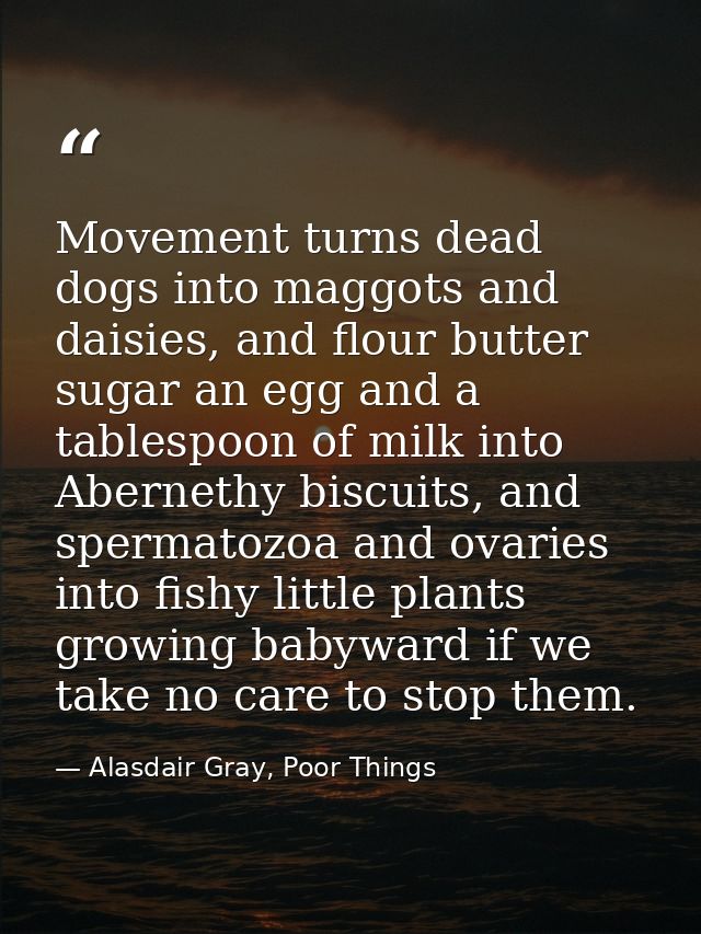 Movement turns dead dogs into maggots and daisies, and flour butter sugar an egg and a tablespoon of milk into Abernethy — Alasdair Gray, Poor Things