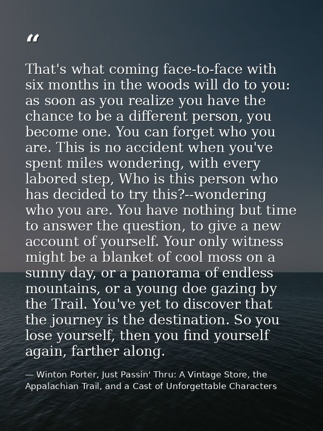 That's what coming face-to-face with six months in the woods will do to you: as soon as you realize you have the chance  — Winton Porter, Just Passin' Thru: A Vintage Store, the Appalachian Trail, and a Cast of Unforgettable Characters