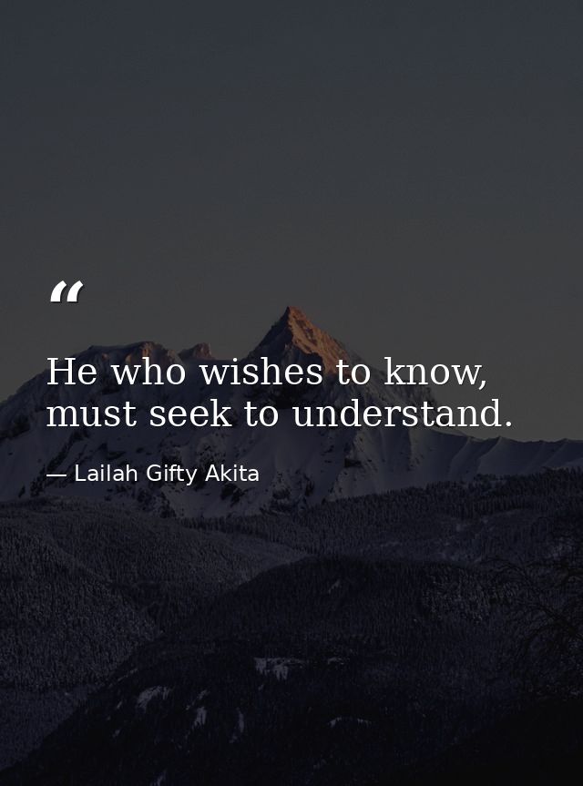 He who wishes to know, must seek to understand. — Lailah Gifty Akita