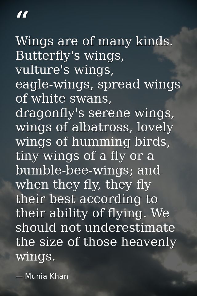 Wings are of many kinds. Butterfly's wings, vulture's wings, eagle-wings, spread wings of white swans, dragonfly's seren — Munia Khan