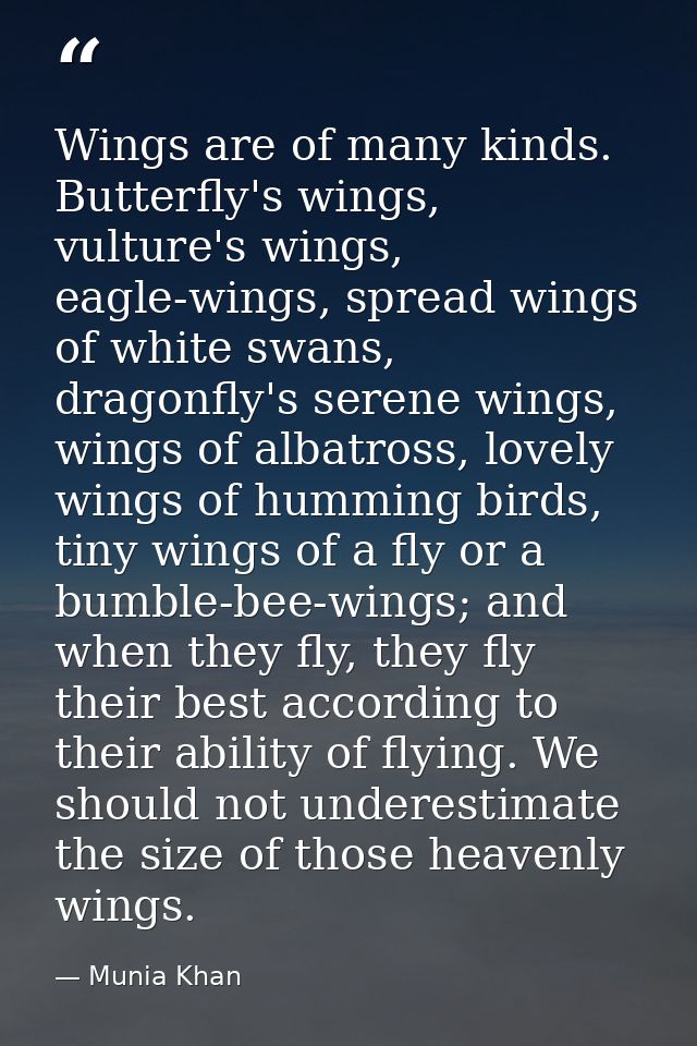 Wings are of many kinds. Butterfly's wings, vulture's wings, eagle-wings, spread wings of white swans, dragonfly's seren — Munia Khan