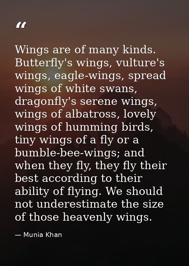 Wings are of many kinds. Butterfly's wings, vulture's wings, eagle-wings, spread wings of white swans, dragonfly's seren — Munia Khan