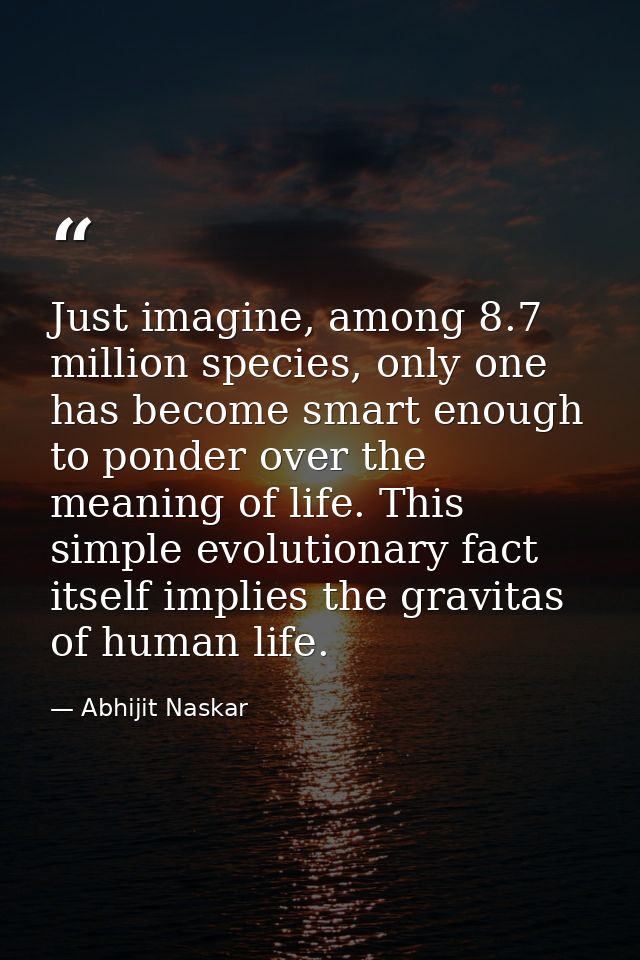 Just imagine, among 8.7 million species, only one has become smart enough to ponder over the meaning of life. This simpl — Abhijit Naskar