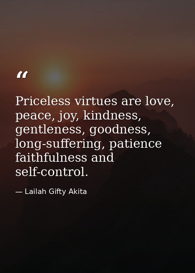 Priceless virtues are love, peace, joy, kindness, gentleness, goodness, long-suffering, patience faithfulness and self-c — Lailah Gifty Akita