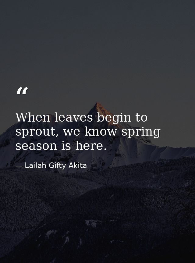 When leaves begin to sprout, we know spring season is here. — Lailah Gifty Akita