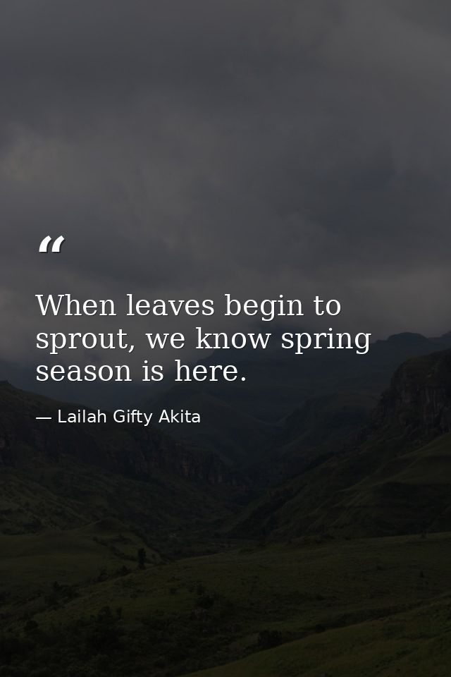When leaves begin to sprout, we know spring season is here. — Lailah Gifty Akita