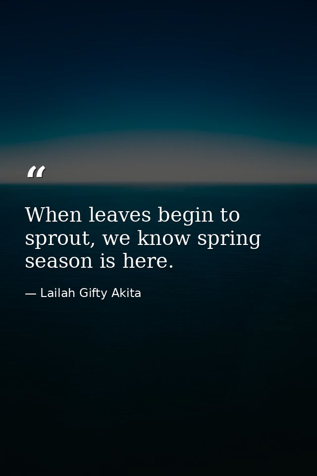 When leaves begin to sprout, we know spring season is here. — Lailah Gifty Akita