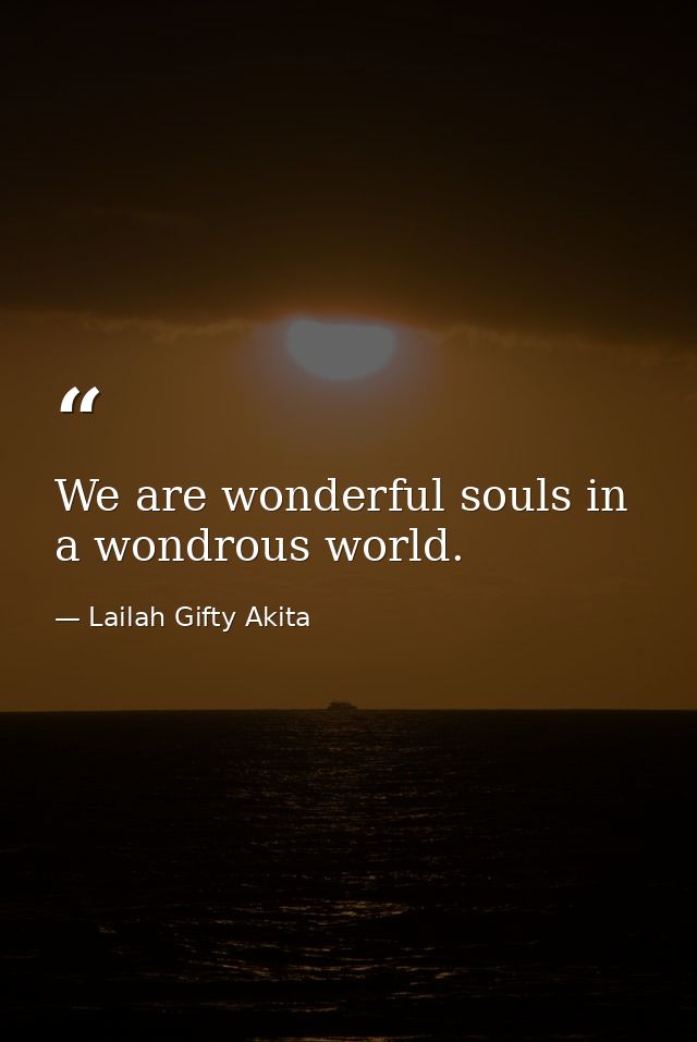 We are wonderful souls in a wondrous world. — Lailah Gifty Akita