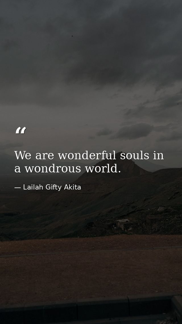 We are wonderful souls in a wondrous world. — Lailah Gifty Akita