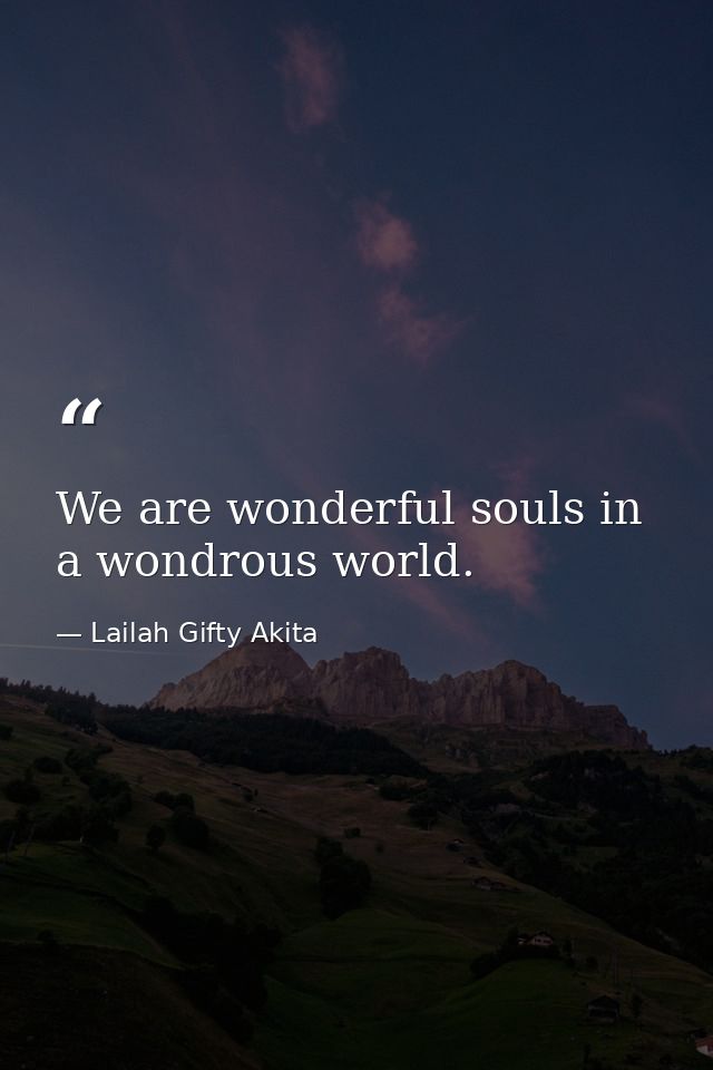We are wonderful souls in a wondrous world. — Lailah Gifty Akita