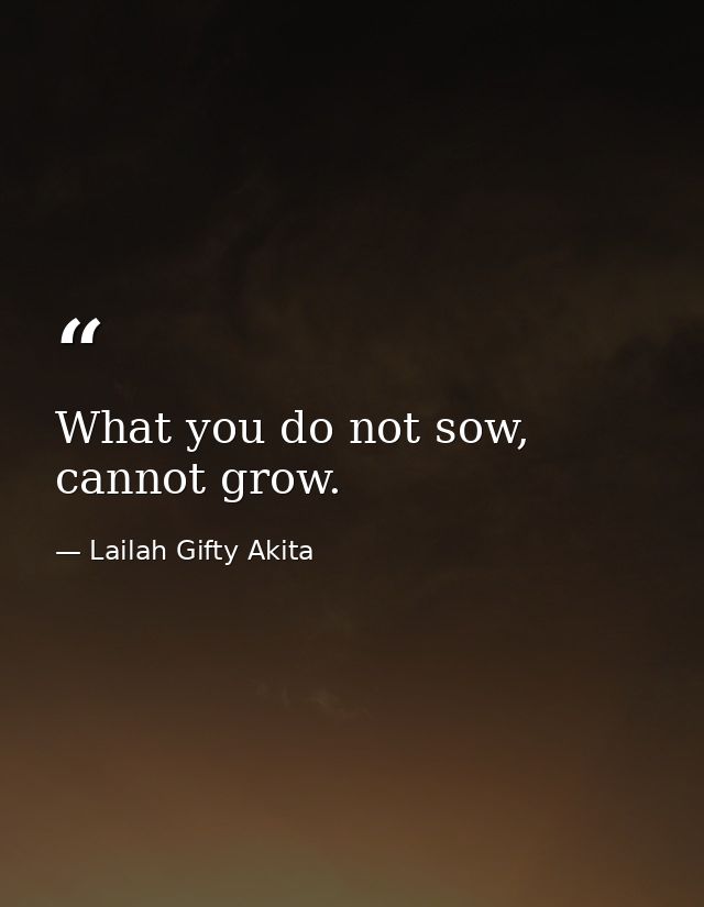 What you do not sow, cannot grow. — Lailah Gifty Akita