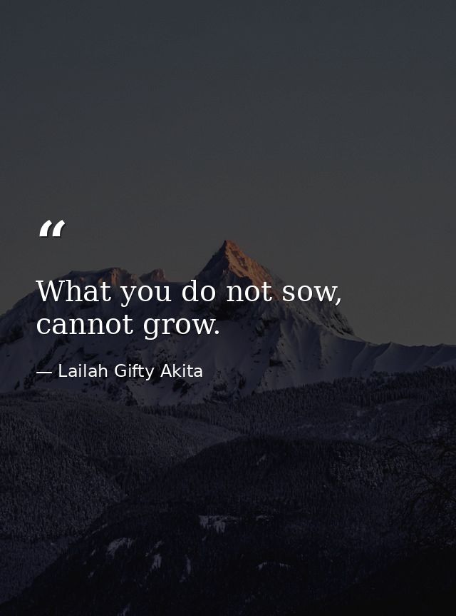 What you do not sow, cannot grow. — Lailah Gifty Akita