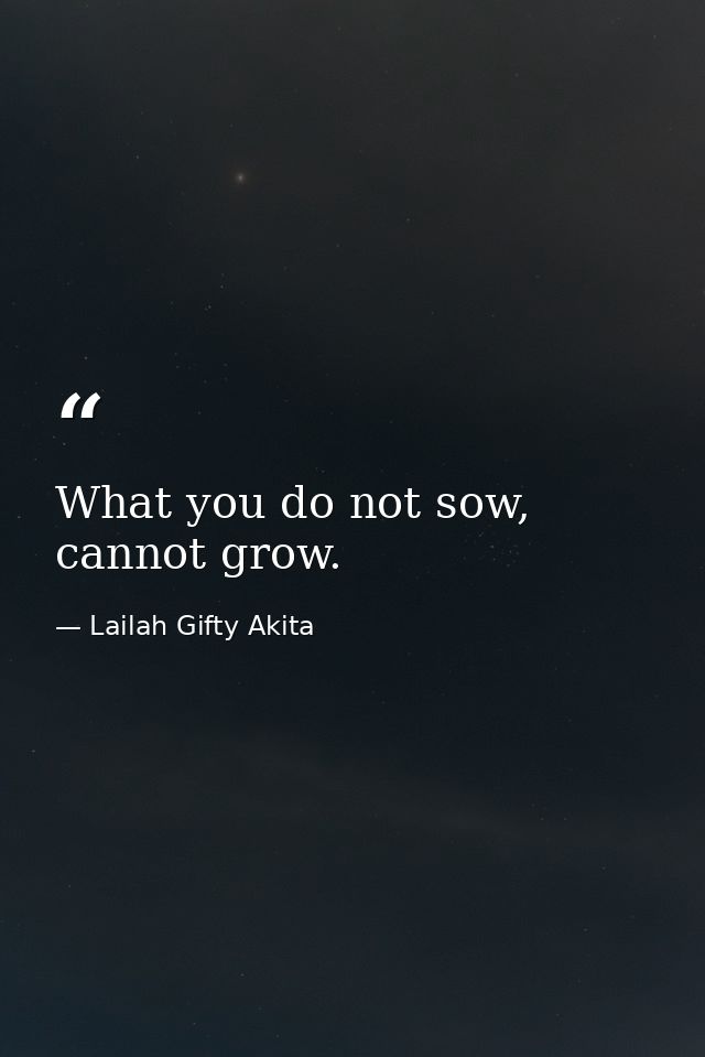 What you do not sow, cannot grow. — Lailah Gifty Akita
