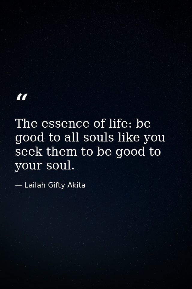 The essence of life: be good to all souls like you seek them to be good to your soul. — Lailah Gifty Akita