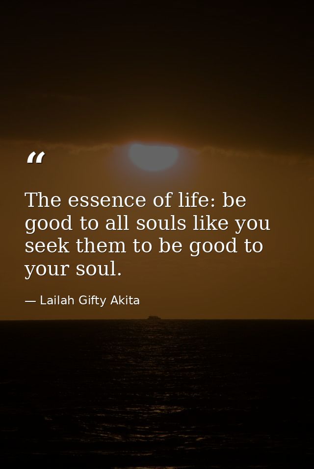 The essence of life: be good to all souls like you seek them to be good to your soul. — Lailah Gifty Akita