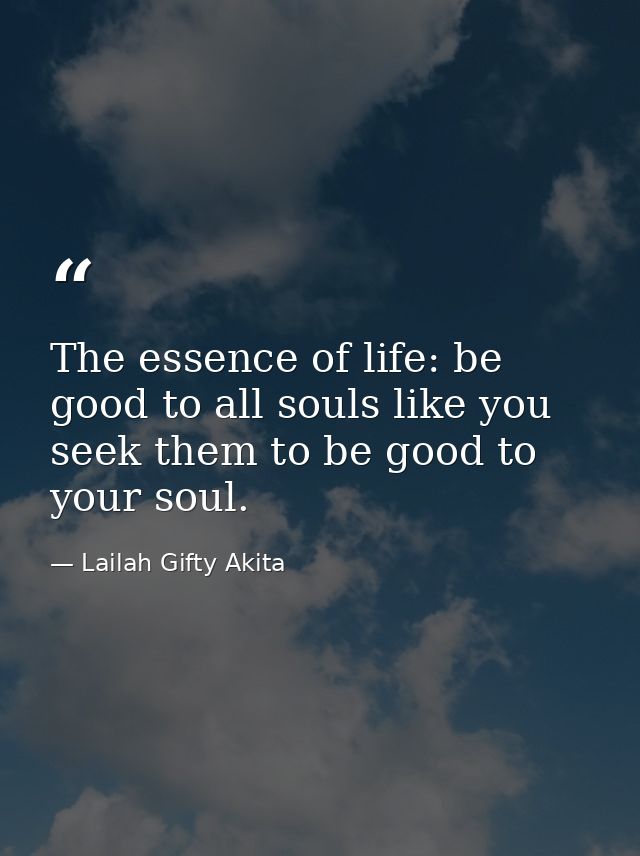 The essence of life: be good to all souls like you seek them to be good to your soul. — Lailah Gifty Akita