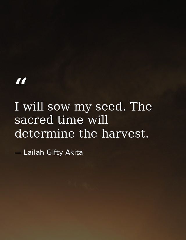 I will sow my seed. The sacred time will determine the harvest. — Lailah Gifty Akita