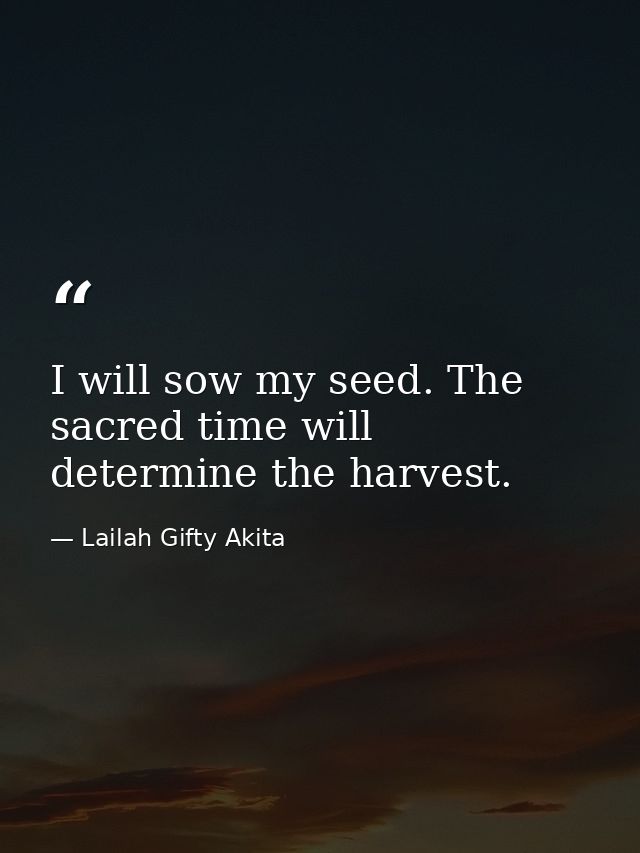 I will sow my seed. The sacred time will determine the harvest. — Lailah Gifty Akita