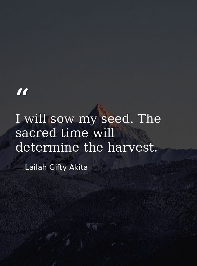 I will sow my seed. The sacred time will determine the harvest. — Lailah Gifty Akita