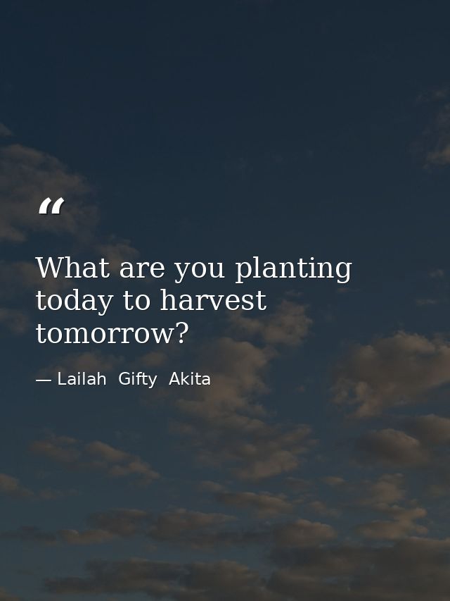 What are you planting today to harvest tomorrow? — Lailah  Gifty  Akita