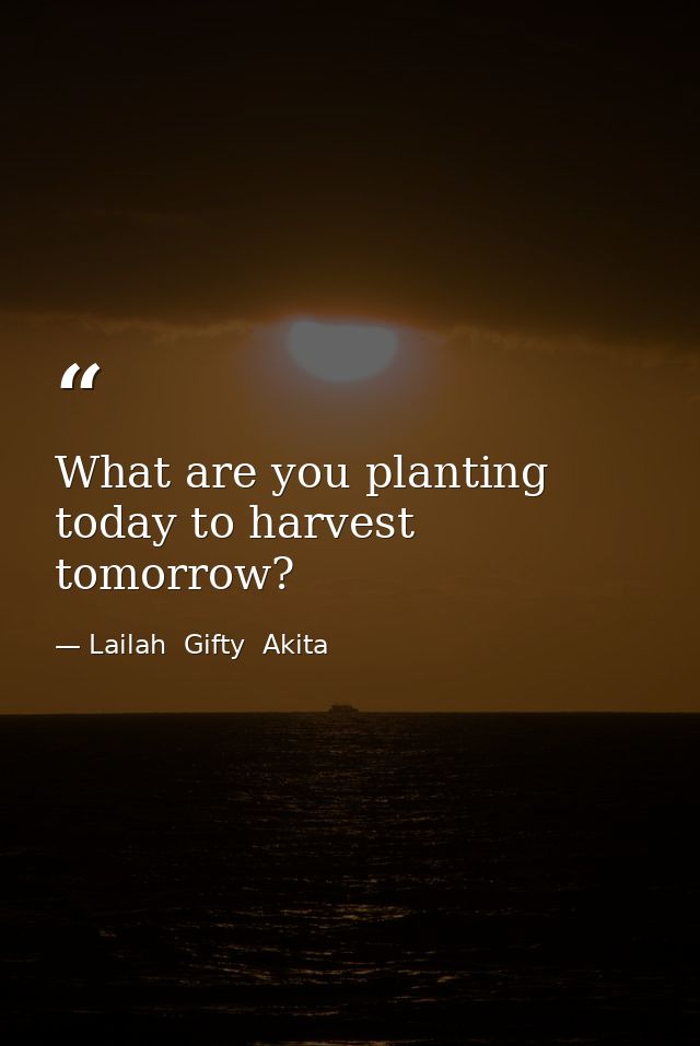 What are you planting today to harvest tomorrow? — Lailah  Gifty  Akita