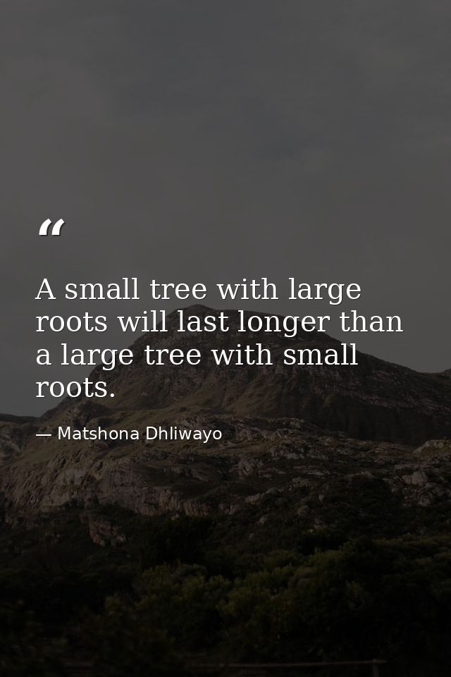 A small tree with large roots will last longer than a large tree with small roots. — Matshona Dhliwayo