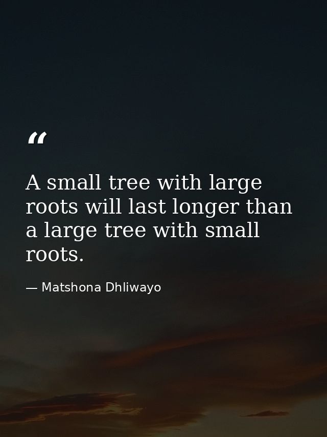 A small tree with large roots will last longer than a large tree with small roots. — Matshona Dhliwayo