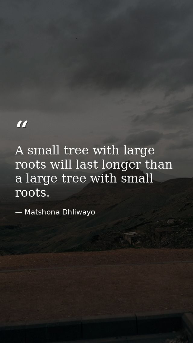 A small tree with large roots will last longer than a large tree with small roots. — Matshona Dhliwayo