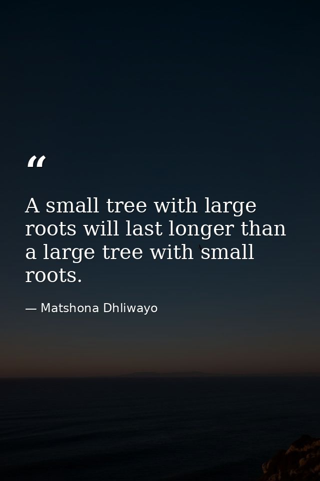 A small tree with large roots will last longer than a large tree with small roots. — Matshona Dhliwayo