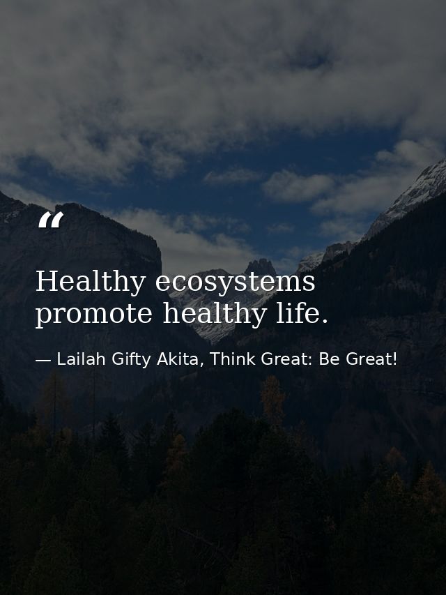 Healthy ecosystems promote healthy life. — Lailah Gifty Akita, Think Great: Be Great!