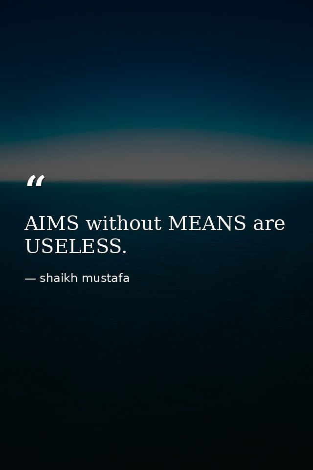 AIMS without MEANS are USELESS. — shaikh mustafa