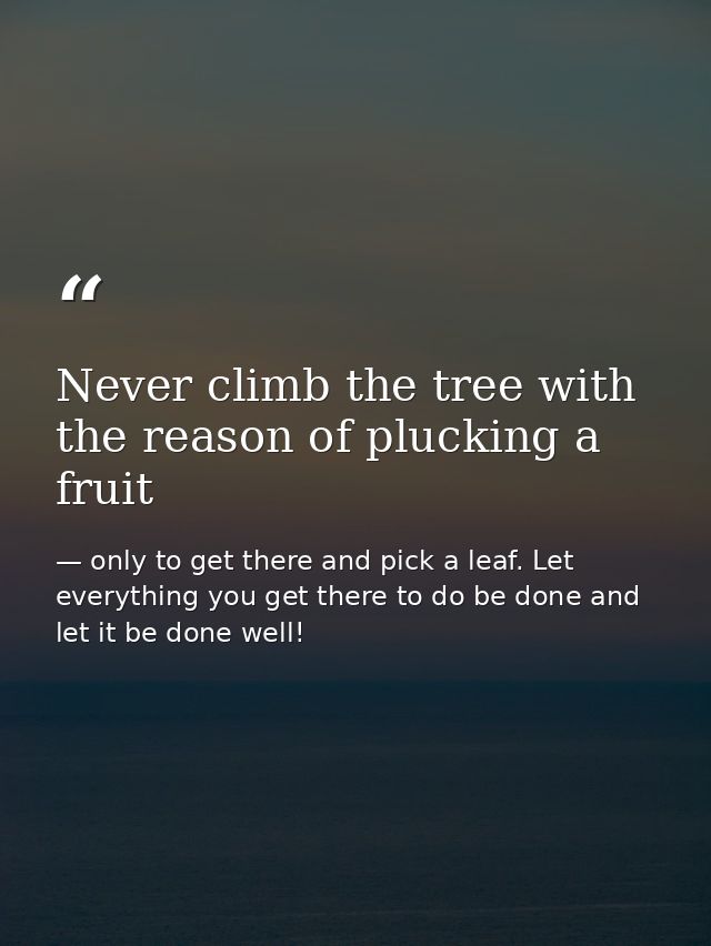 Never climb the tree with the reason of plucking a fruit — only to get there and pick a leaf. Let everything you get there to do be done and let it be done well!
