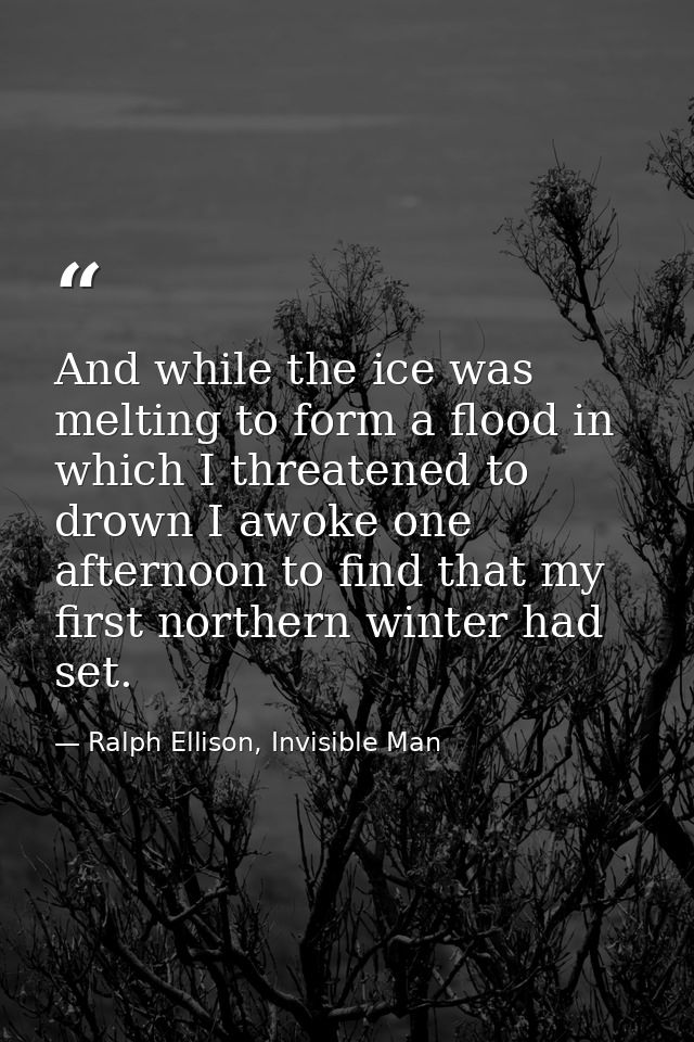 And while the ice was melting to form a flood in which I threatened to drown I awoke one afternoon to find that my first — Ralph Ellison, Invisible Man