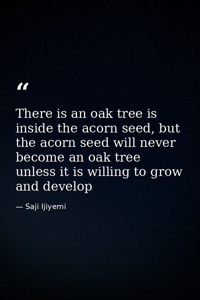 There is an oak tree is inside the acorn seed, but the acorn seed will never become an oak tree unless it is willing to  — Saji Ijiyemi