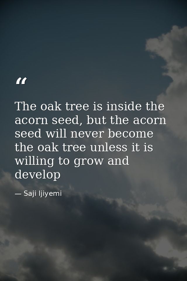 The oak tree is inside the acorn seed, but the acorn seed will never become the oak tree unless it is willing to grow an — Saji Ijiyemi