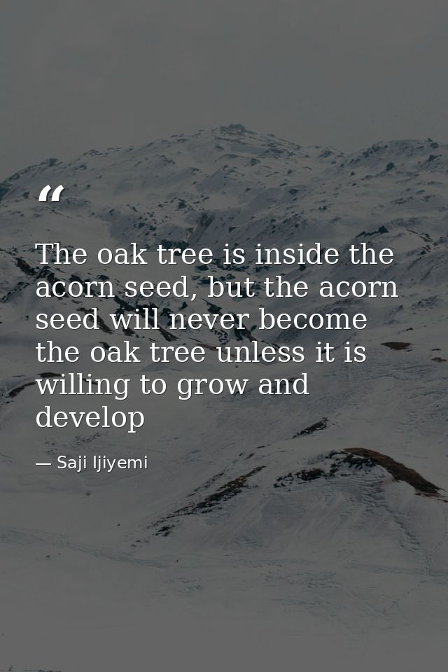The oak tree is inside the acorn seed, but the acorn seed will never become the oak tree unless it is willing to grow an — Saji Ijiyemi