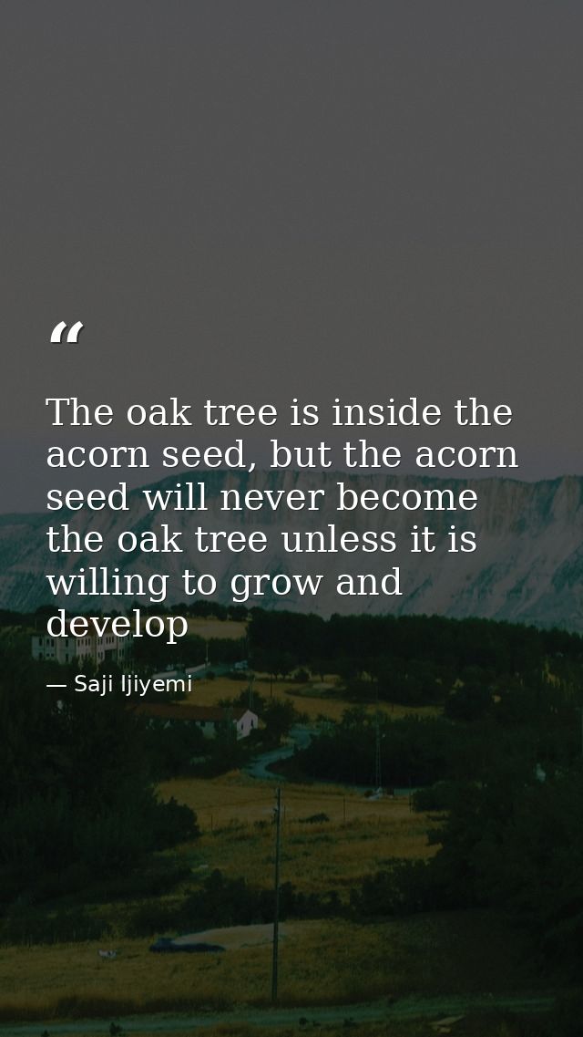 The oak tree is inside the acorn seed, but the acorn seed will never become the oak tree unless it is willing to grow an — Saji Ijiyemi