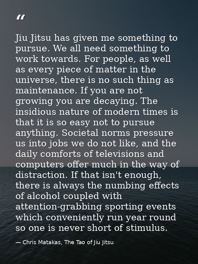 Jiu Jitsu has given me something to pursue. We all need something to work towards. For people, as well as every piece of — Chris Matakas, The Tao of Jiu Jitsu