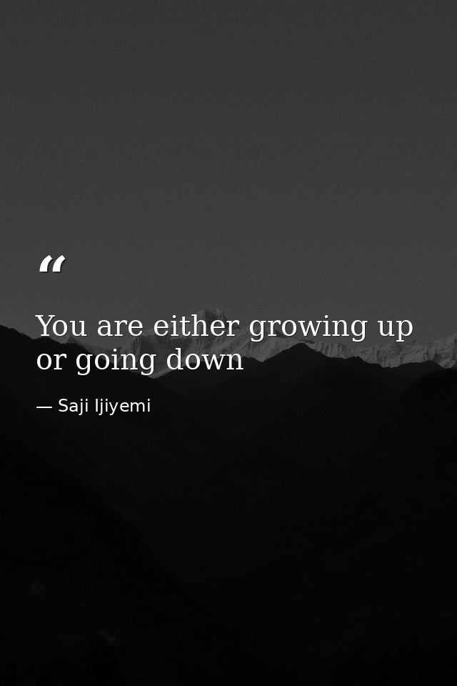You are either growing up or going down — Saji Ijiyemi