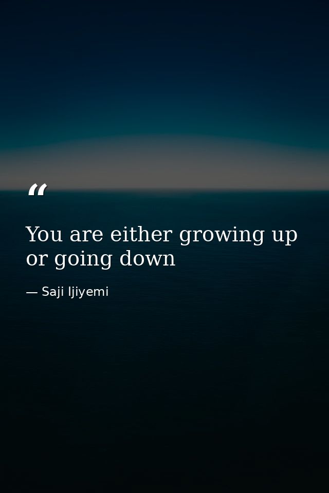 You are either growing up or going down — Saji Ijiyemi