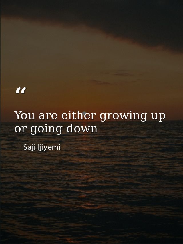 You are either growing up or going down — Saji Ijiyemi