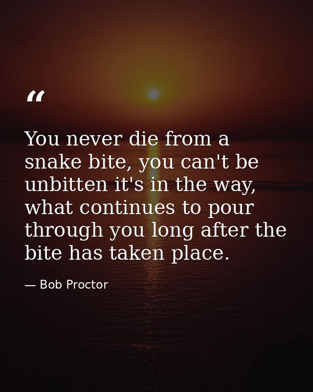 You never die from a snake bite, you can't be unbitten it's in the way, what continues to pour through you long after th — Bob Proctor