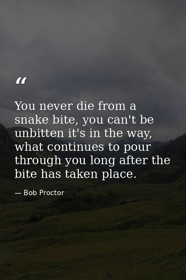 You never die from a snake bite, you can't be unbitten it's in the way, what continues to pour through you long after th — Bob Proctor