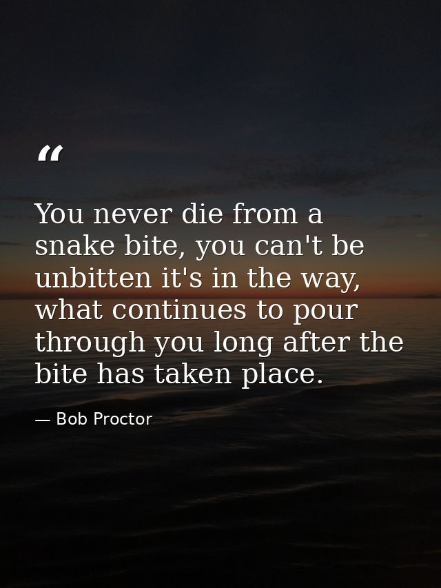 You never die from a snake bite, you can't be unbitten it's in the way, what continues to pour through you long after th — Bob Proctor
