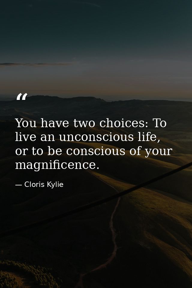 You have two choices: To live an unconscious life, or to be conscious of your magnificence. — Cloris Kylie
