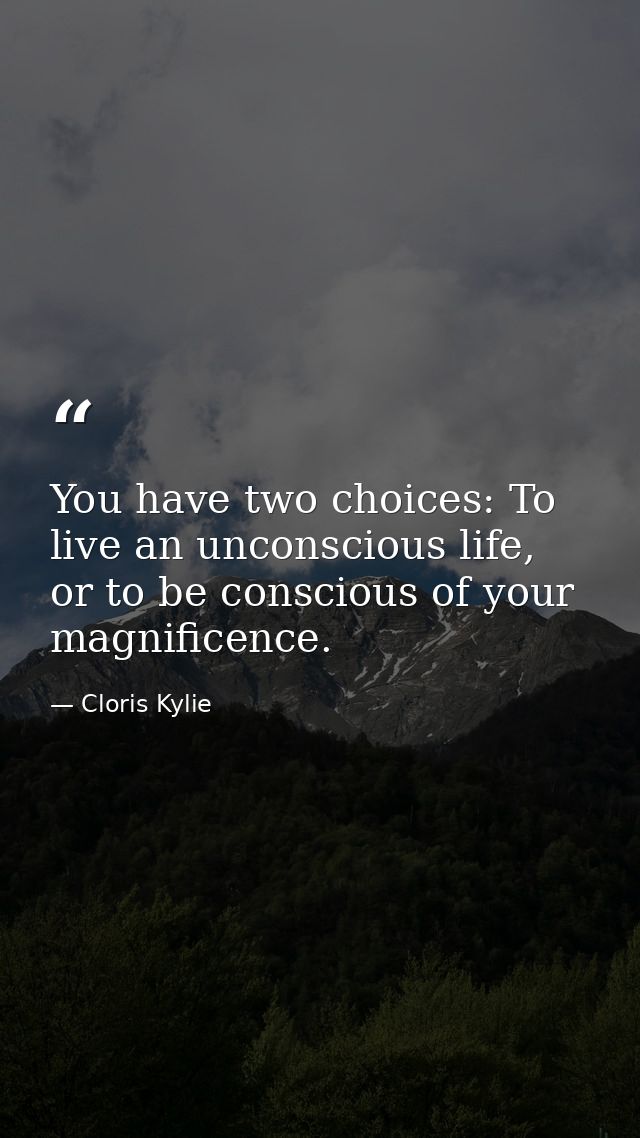 You have two choices: To live an unconscious life, or to be conscious of your magnificence. — Cloris Kylie