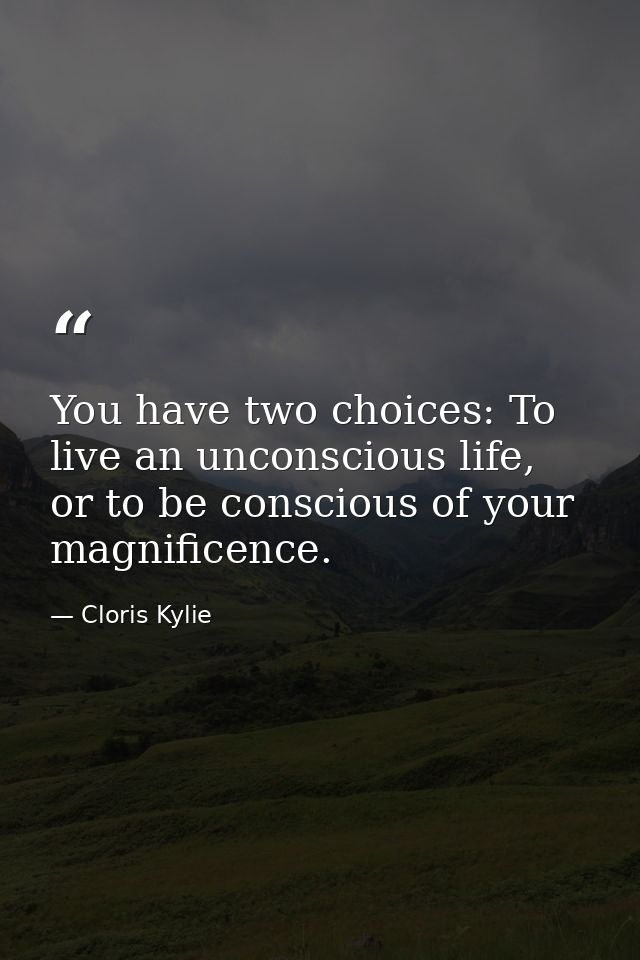 You have two choices: To live an unconscious life, or to be conscious of your magnificence. — Cloris Kylie
