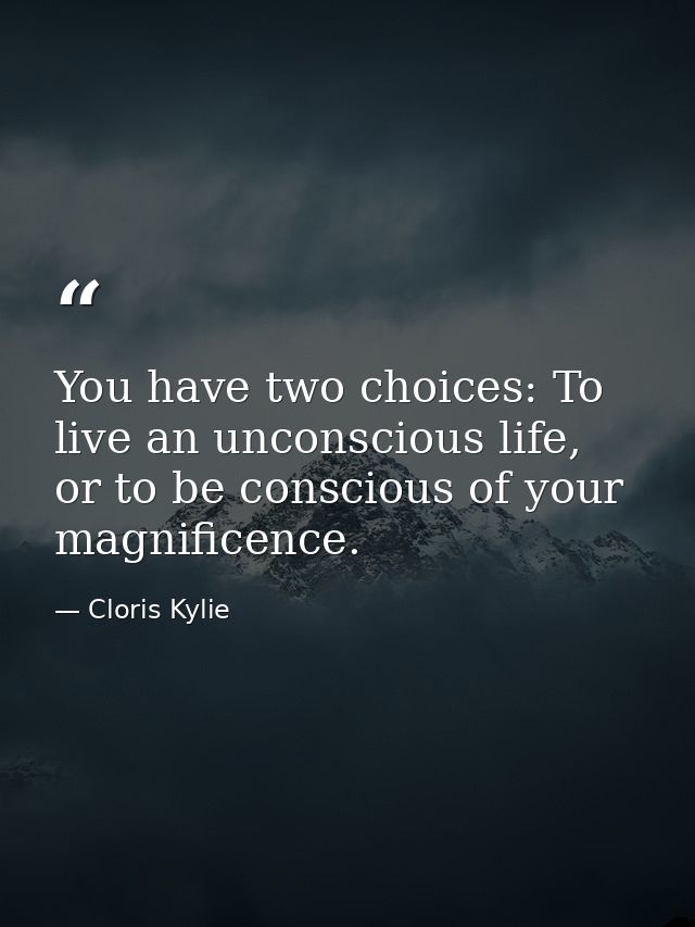 You have two choices: To live an unconscious life, or to be conscious of your magnificence. — Cloris Kylie